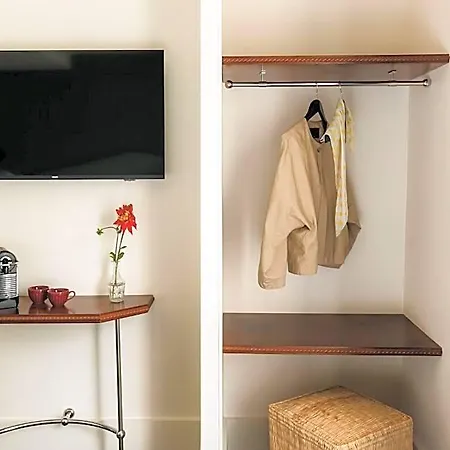 Folie - Orso